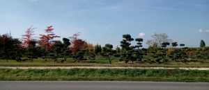 Christoph-Ulmer-Baumschulen-Weilheim-Teck-Gartenbonsai-Verzinkerei-Panorama-10-2018