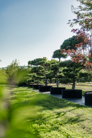 Ulmer_2025_Baumpark-18-08-25_web-56